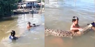 Đám trẻ vô tư đùa giỡn, tắm chung với cá sấu ở Malaysia
